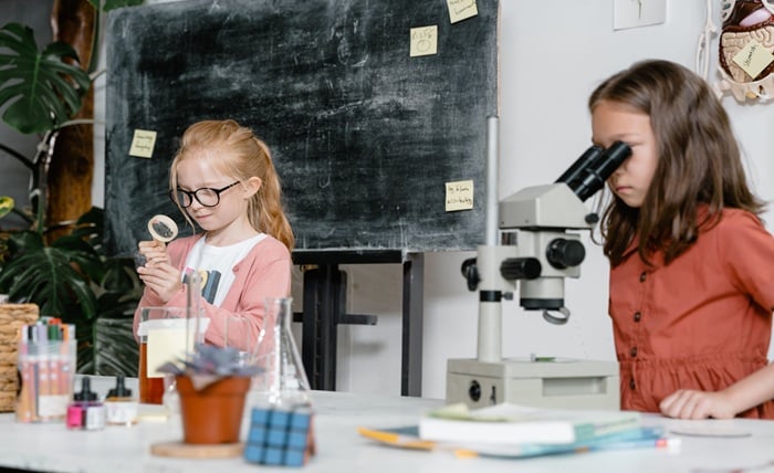 Curiosity Improves Learning