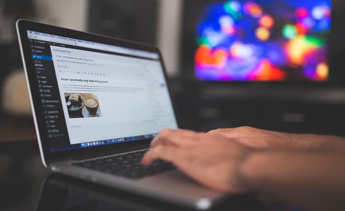 professional guest posting services