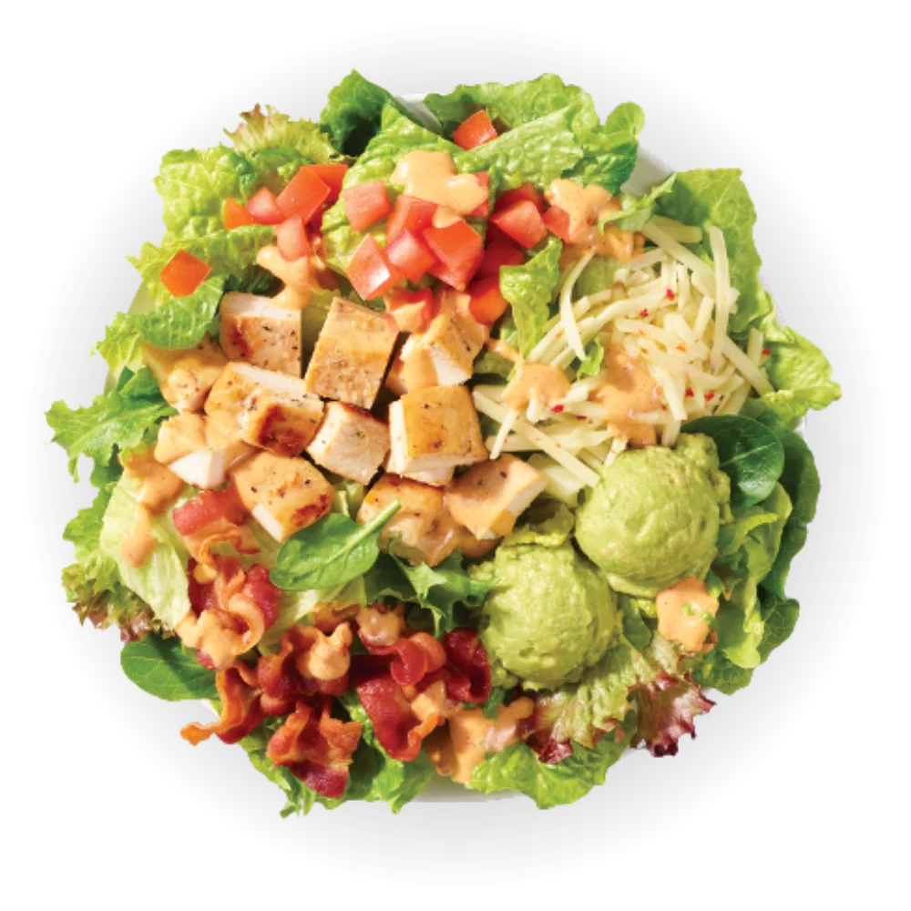 Wendy’s Menu with Prices (2026) 86 Wendy's Salad