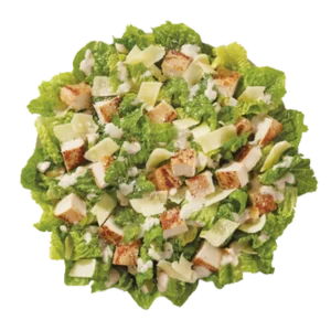Wendy’s Menu with Prices (2026) 90 Parmesan Caesar Salad